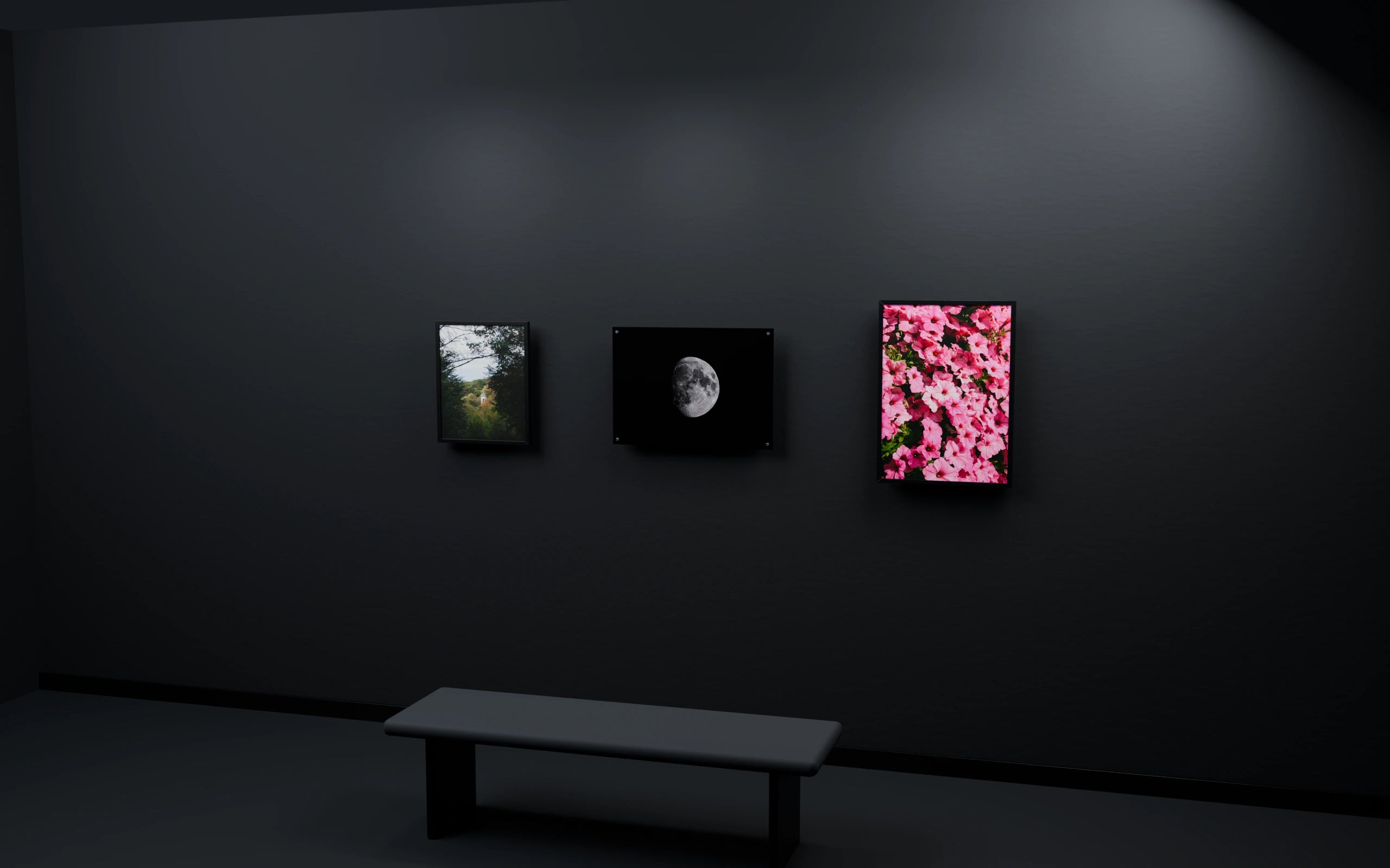 Gallery room with the tower, acrylic moon and pink flowers above a bench